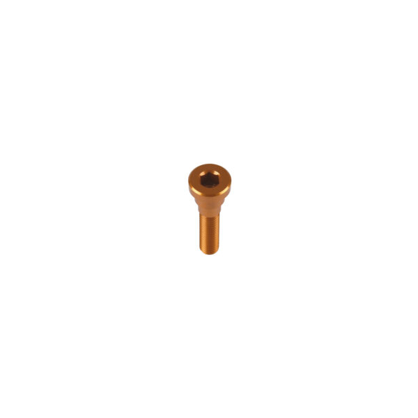 Top Cap / Grip Doctor Bolt 2024 - Bronze Top Cap / Grip Doctor Bolt 2024 - Bronze